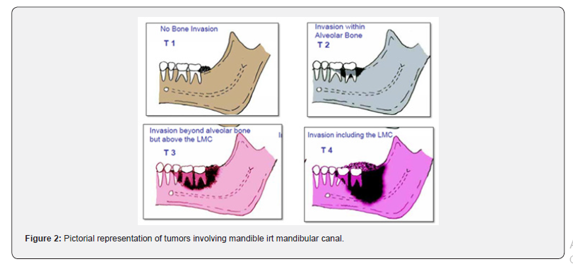 Click here to view Large Figure 2