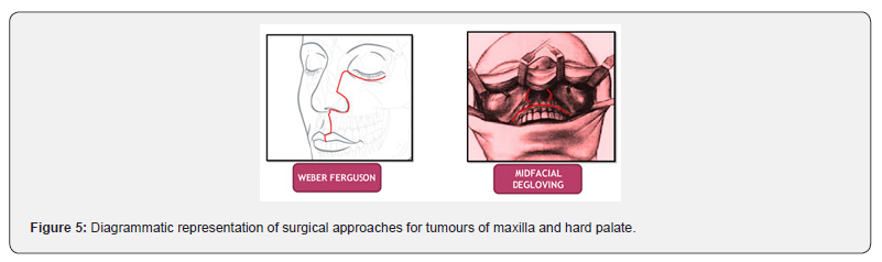Click here to view Large Figure 5