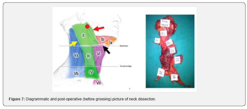 Click here to view Large Figure 7
