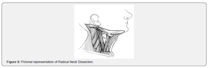 Click here to view Large Figure 8