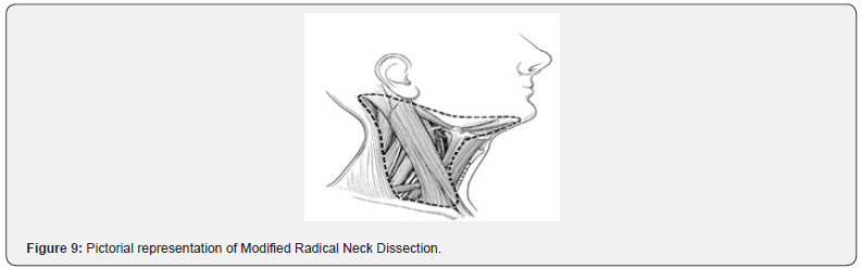 Click here to view Large Figure 9