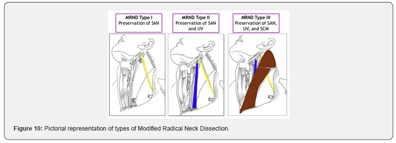 Click here to view Large Figure 10