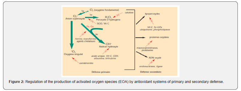 Click here to view Large Figure 2