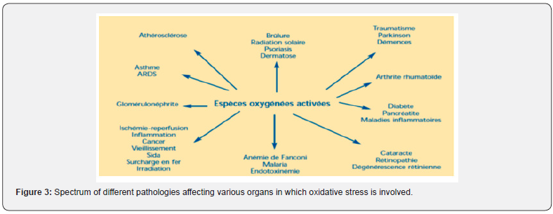 Click here to view Large Figure 3