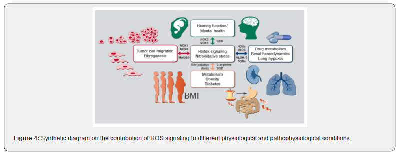 Click here to view Large Figure 4
