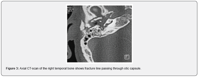 Click here to view Large Figure 3