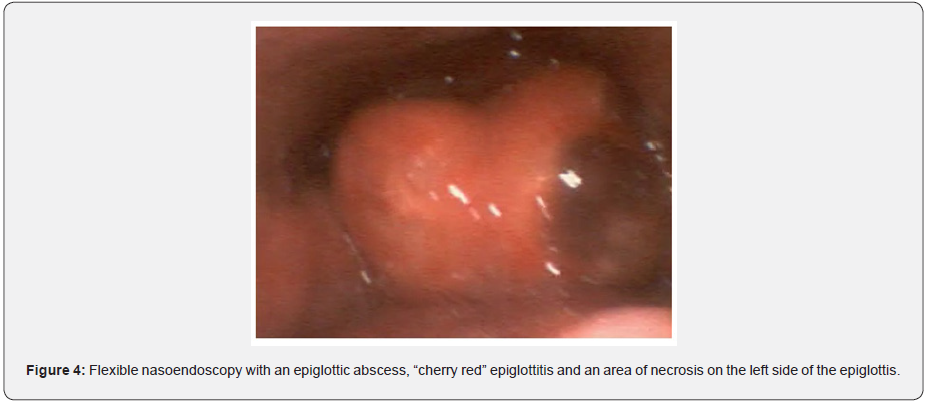 Click here to view Large Figure 4 Material Science