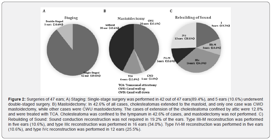 Click here to view Large Figure