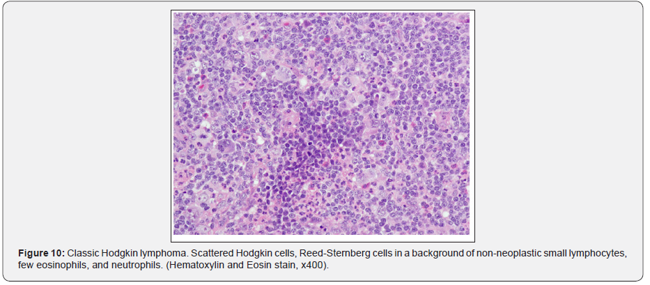 Click here to view Large Figure