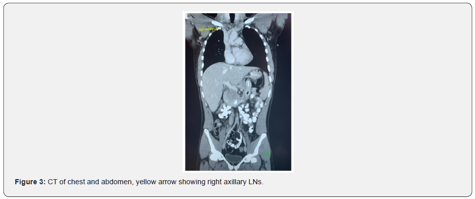 Click here to view Large Figure