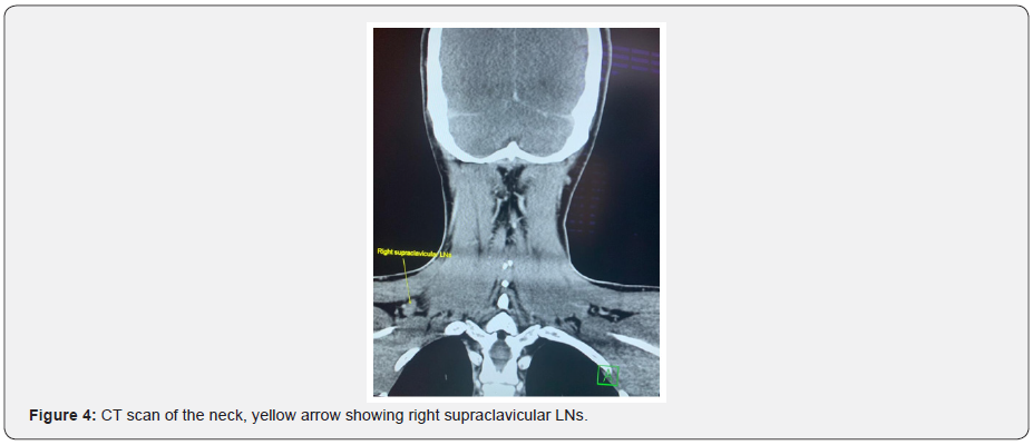 Click here to view Large Figure