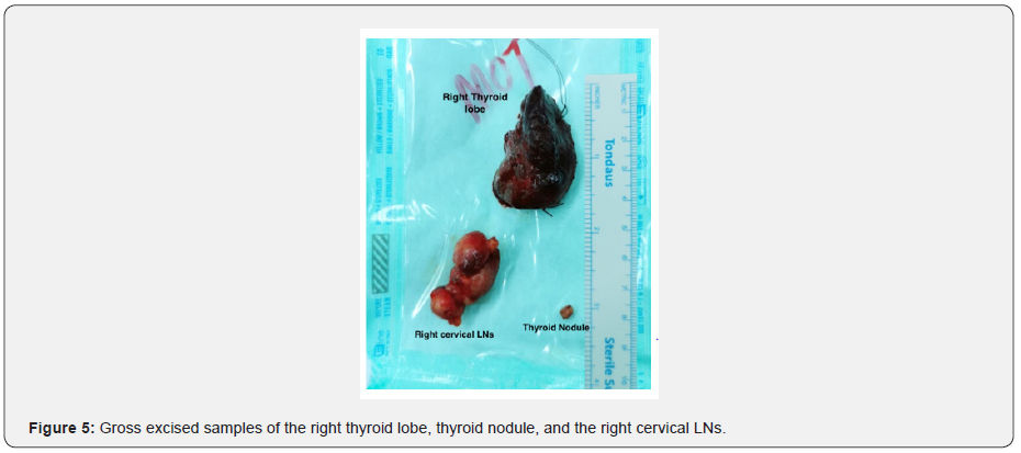 Click here to view Large Figure