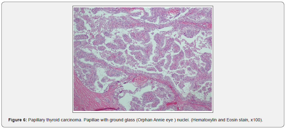 Click here to view Large Figure