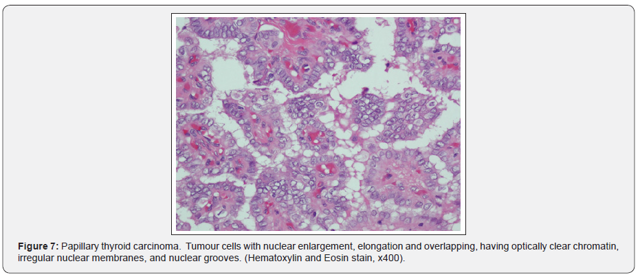 Click here to view Large Figure