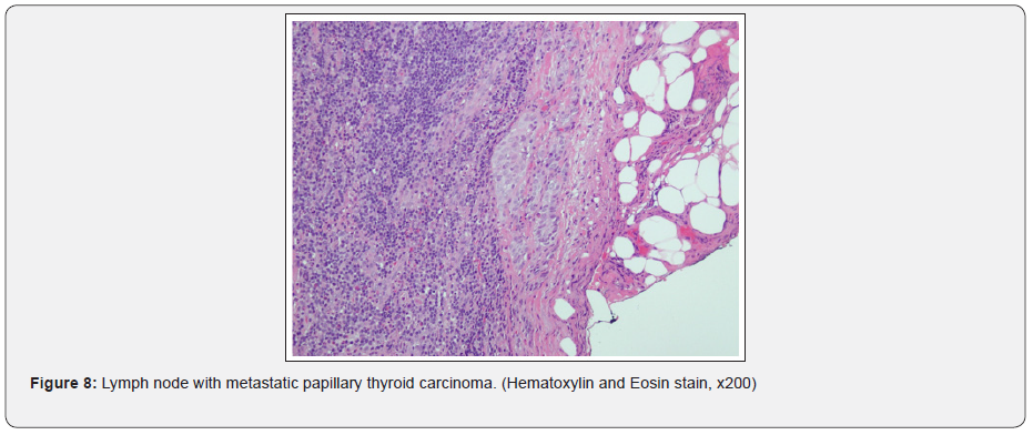 Click here to view Large Figure