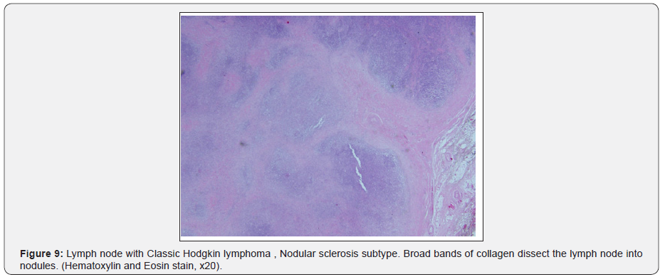 Click here to view Large Figure