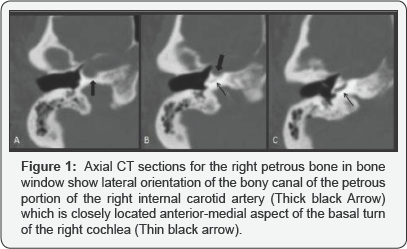 Click here to view Large Figure 1