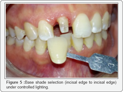 Click here to view Large Figure 5