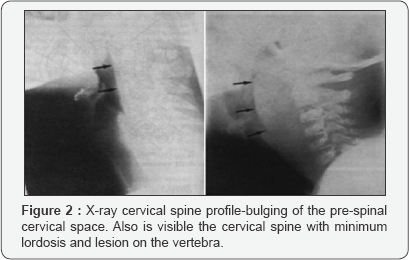 Click here to view Large figure 2
