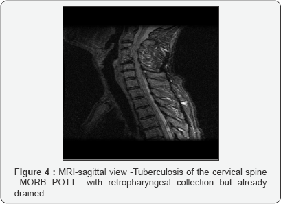 Click here to view Large figure 4
