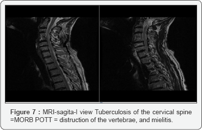 Click here to view Large figure 7