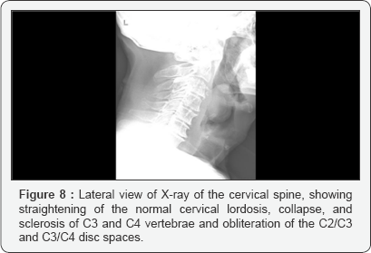 Click here to view Large figure 8