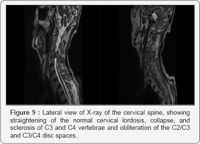 Click here to view Large figure 9