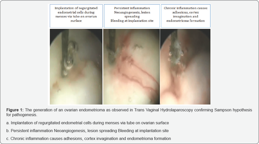 Click here to view Large Figure 1