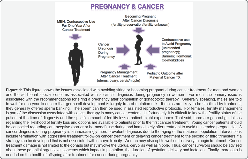 Click here to view Large Figure 1
