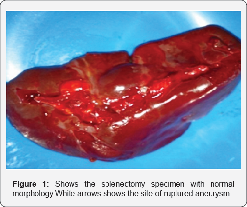 Click here to view Large Figure 1