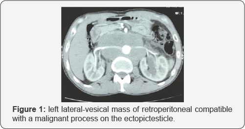 Click here to view Large Figure 1