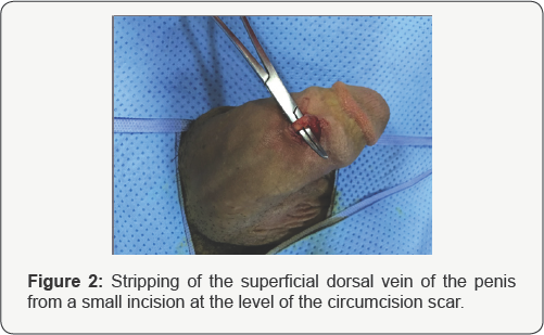 Click here to view Large Table 1