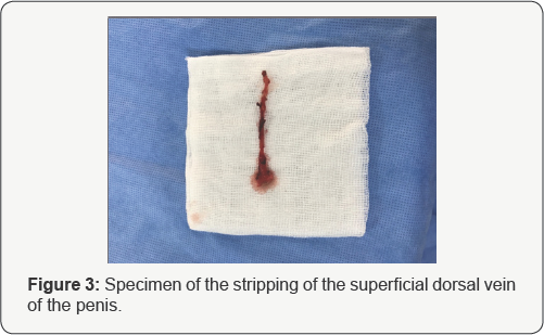 Click here to view Large Table 1