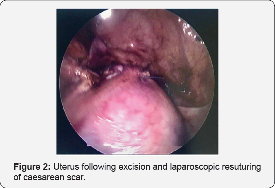 Click here to view Large Figure 2