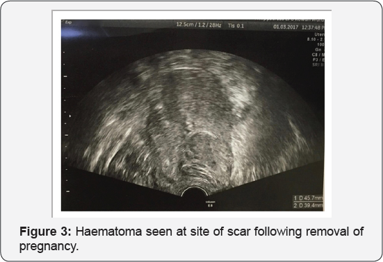 Click here to view Large Figure 3