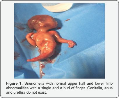 Click here to view Large Figure 1