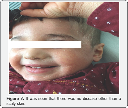 Click here to view Large Figure 2