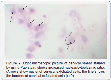 Click here to view Large Figure 2