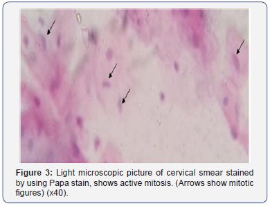 Click here to view Large Figure 3