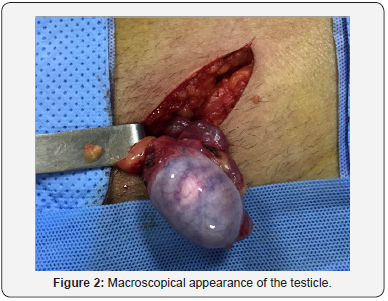 Click here to view Large Figure 2