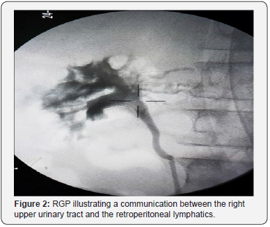 Click here to view Large Figure 2