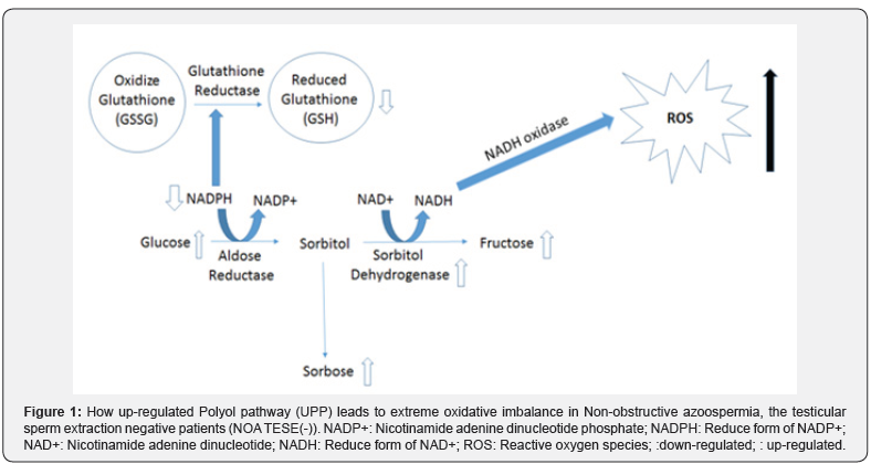 Click here to view Large Figure 1