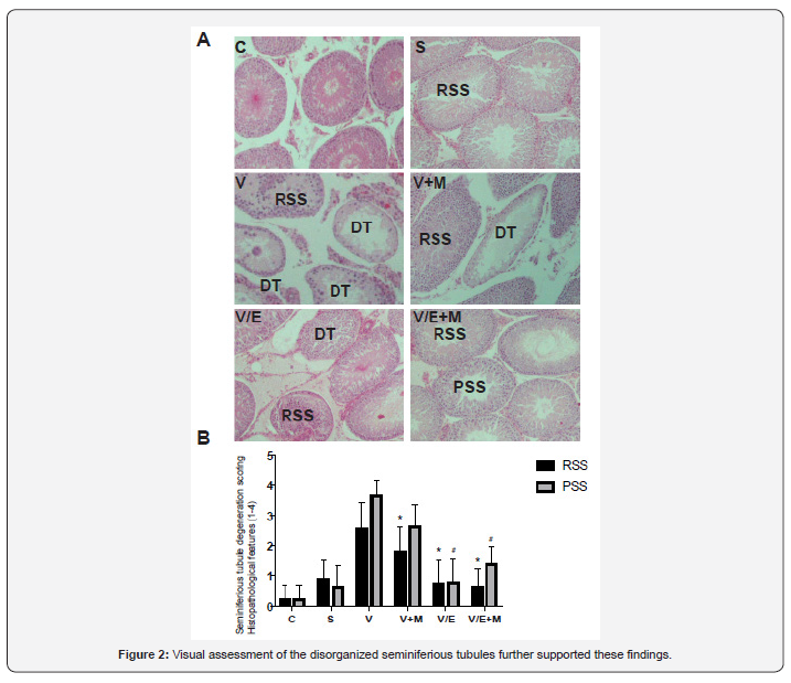 Click here to view Large Figure 2