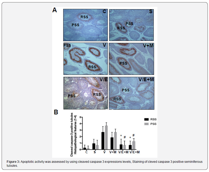 Click here to view Large Figure 3