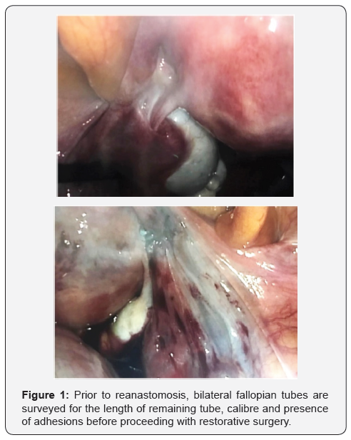Click here to view Large Figure 1