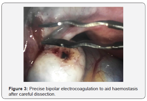 Click here to view Large Figure 3