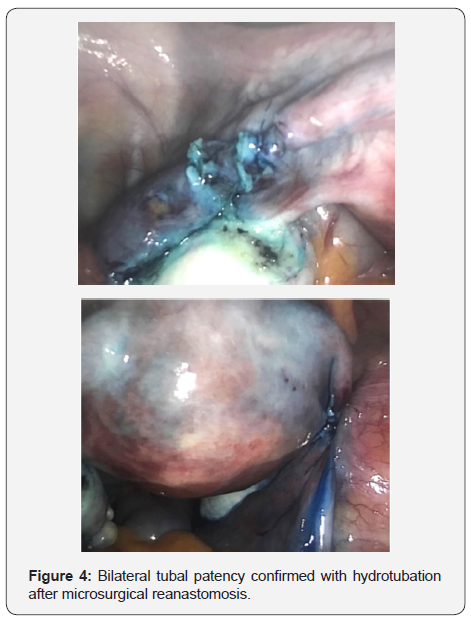 Click here to view Large Figure 4