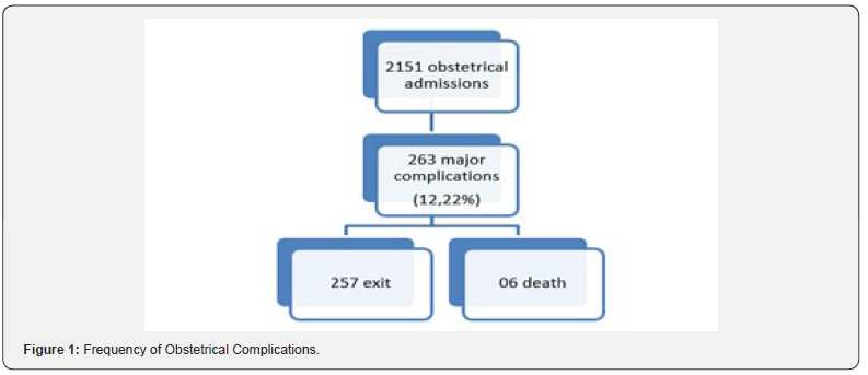 Click here to view Large Figure 1