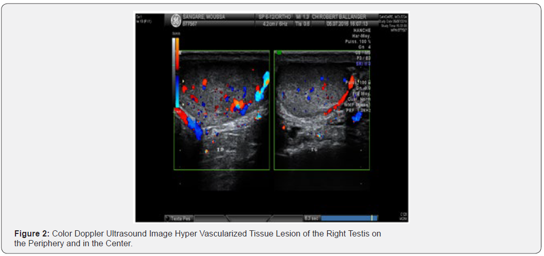 Click here to view Large Figure 2