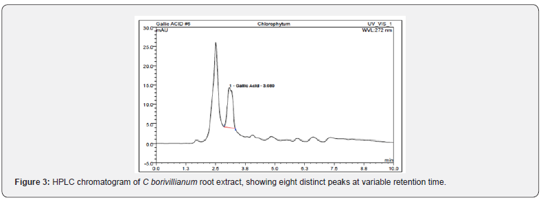 Click here to view Large Figure 3